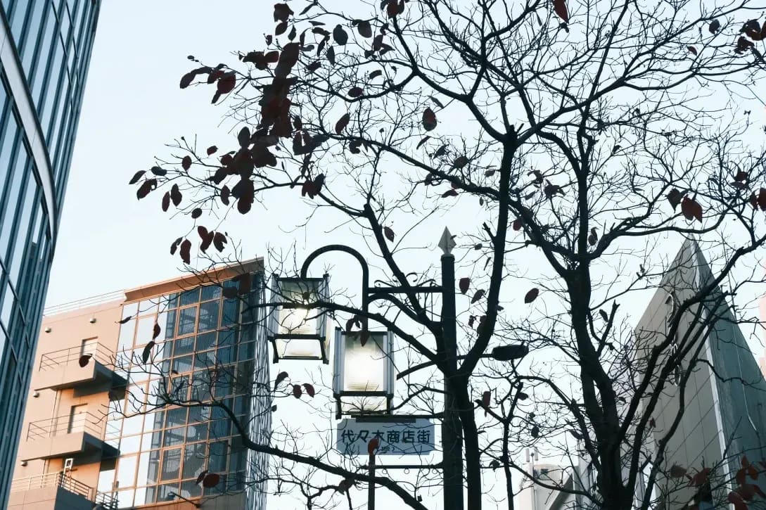 Fukuoka Japanese Academy 14